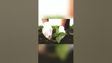 Revolutionize Farming  The Power of Crop Rotation 🌾