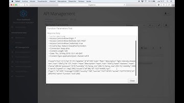 Request and Response Logs for Remote Functions