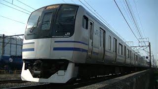 JR横須賀線E217系Y-142編成+Y-15編成普通大船行き 新川崎駅付近にて