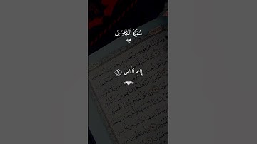 سوره الناس احمد العجمي #قران #احمد_العجمي #quran #قران_كريم #تلاوة_خاشعة #alaa_mustafa_1