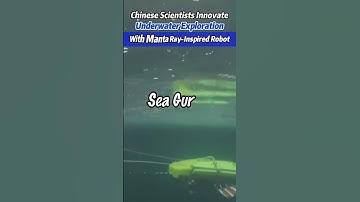 Chinese Scientists Innovate Underwater Exploration With Manta Ray-Inspired Robot #fyp #fypシ #china