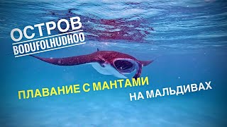 Мальдивы 2023 ?? Обзор о.Бодуфолуду / Плаваем в открытом океане с Мантами