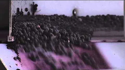 Melissa Davenport's "Blueberryland"