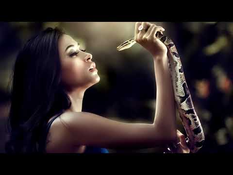 Песни под гитару – Девушка и змея.