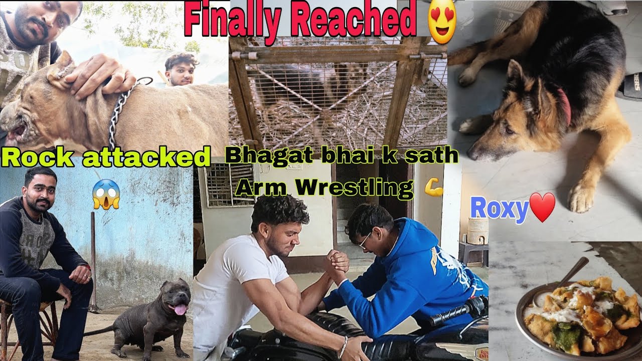 Finally Reached Ritik Dog Kennel😍 Aryan bhai k sath Armwrestling 💪 