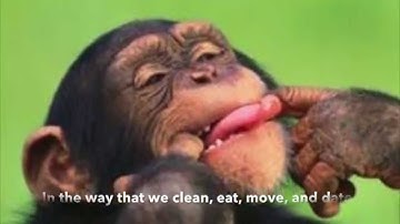 The Fresh Prince of Primate Behavior Anthropology 161 Extra Credit