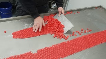 LOYNDS CANDY DROP ROLLER