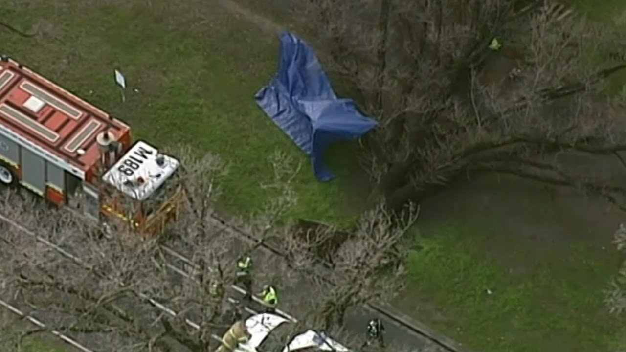 Woman killed by falling tree in Melbourne