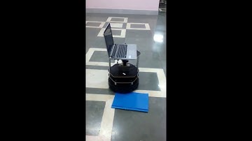 On-Robot Omnidirectional Vision System