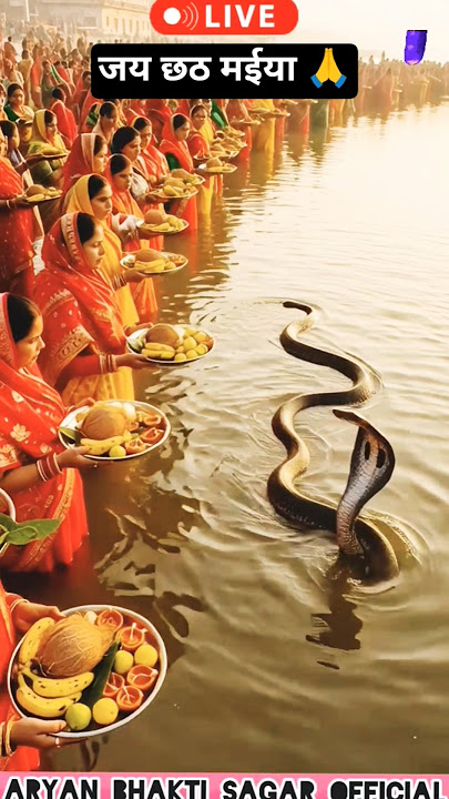 Subah Ka Adbhut Chhath Drishya Surya Ki Kirno Mein Saamp Ne Diya Darshan 🙏#ChhathPuja #BhaktiShorts