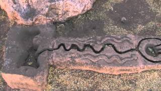 Inca Prophesy Stone: Llama Blood Predicts The Future