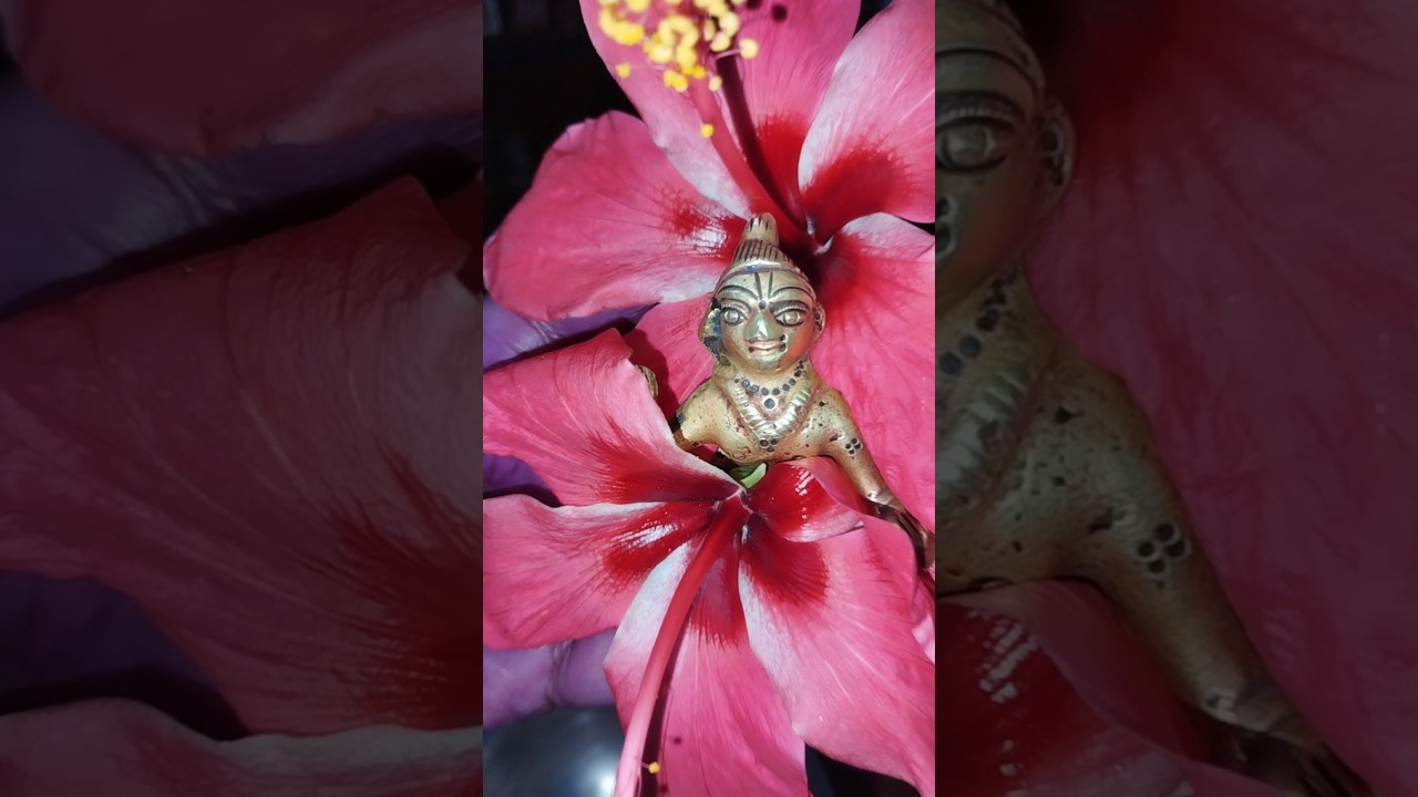 Laddu Gopal daily Puja vidhi 