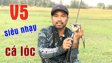 Câu Lure Cá Lóc ● Mồi Giả V5 Lure Cá Lóc Siêu Nhạy Vào Mùa Nước Rút | Tâm Râu Vlog #104