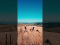 Calisthenics with a View 🏞️ #rawcalisthenicsworkout #bodyweightworkout