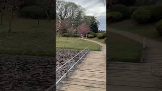 Beautiful Place Park