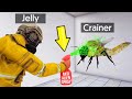 DANGEROUS *ALIEN* INSECTS vs. PEST CONTROL! (Slap The Fly)