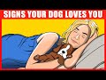 14 signs your dog really loves you confirmed by science