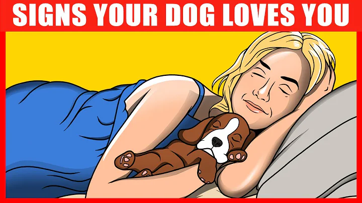 14 Signs Your Dog REALLY Loves You, Confirmed by Science - DayDayNews