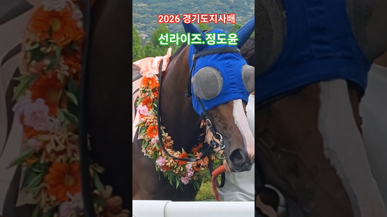 3세암말 강자등극#경마 #말 # 달려라말 #shorts #대상경주