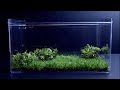 Food chain Box - Stop Motion Cooking & ASMR