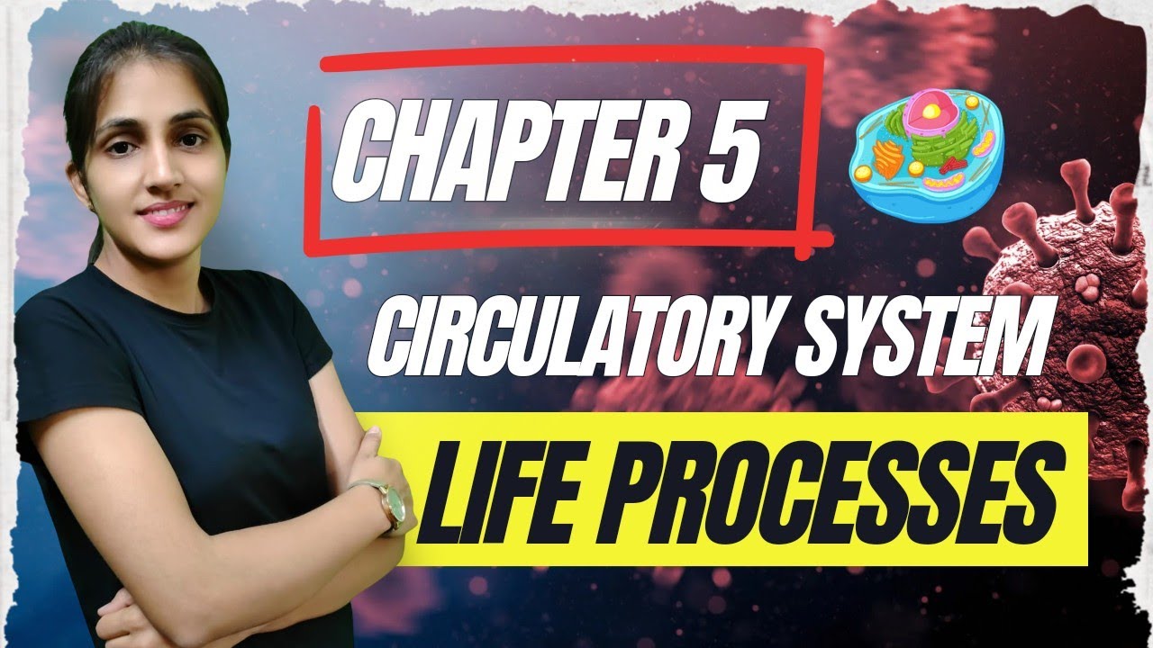 Chapter 5 Life Process CLASS-10TH CHAPTER-5 LIFE PROCESSES CIRCULATORY SYSTEM - YouTube