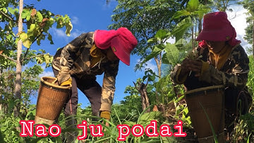 Montagnards in plei hra - adoh jrai khom thung | Nhạc Dân Tộc Tây Nguyên @SIUNANPTP