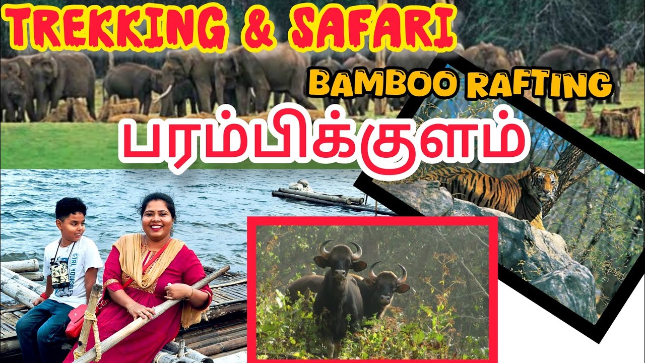 PARAMBIKULAM part 2 || Safari || BAMBOO RAFTING 🦬 