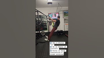 1 Arm TRX Row + Torso Rotation