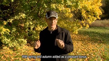 Study English - Mr. Duncan 59 (Autumn)