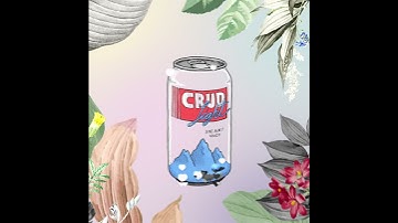 Product Promo "crud" (social media)