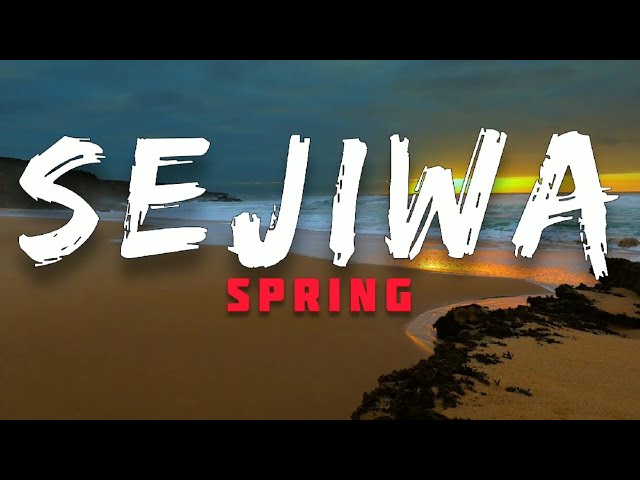 🎵 Sejiwa - Spring Lirik HQ class=