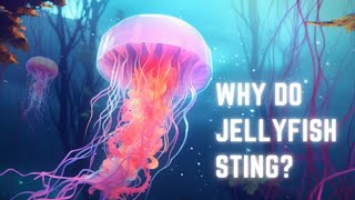 Decoding Jellyfish: The Science Behind Their Sting!