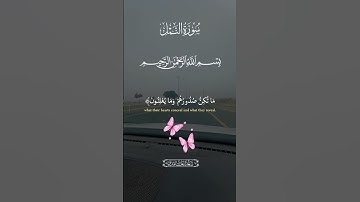 #تلاوة_خاشعة #beautiful #اكسبلور #تلاوة_هادئة #nature
