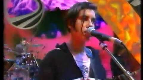 Elastica - Line Up