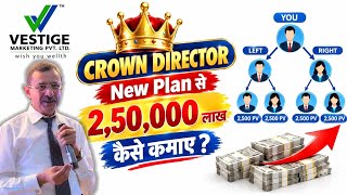Vestige Crown Director New Plan Explained 2026 | PV Calculation, Team Structure & Business Plan