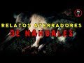 HISTORIAS DE NAHUALES | RECOPILACIÓN | HISTORIAS DE TERROR