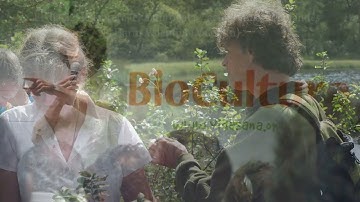 Promotiefilmpje Balaguer nieuw