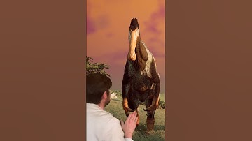 DEALING WITH MIXPACKERS | PATH OF TITANS #pathoftitans #dinosaur  #pathoftitansgameplay