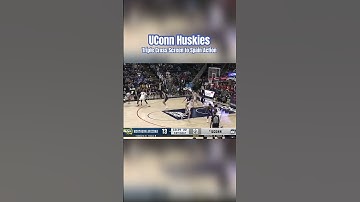 UConn’s Spain Action BLOB