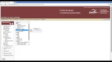01 Calificador   Categorías