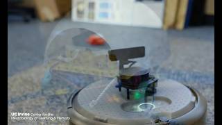 Cognitive Anteater Robotics Lab - How It's Made
