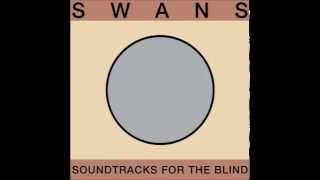 Swans - Surrogate Drone