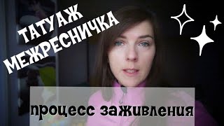 : VLOG:    - 