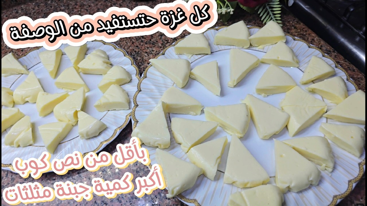 بأقل من نص كوباية حليب بودرة حنعمل اكثر من ٤٠ قطعة جبنة مثلثات نستو مع طريقة طبخ الجبن الجاهزة الصح👌