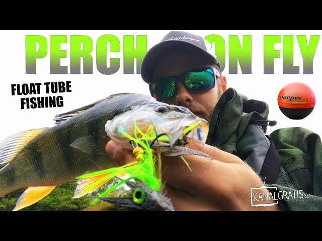 FLY FISHING for PERCH (and Pike) - Float Tubin' using a Deeper