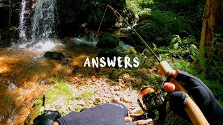 夏の渓流釣りが面白い - YouTube