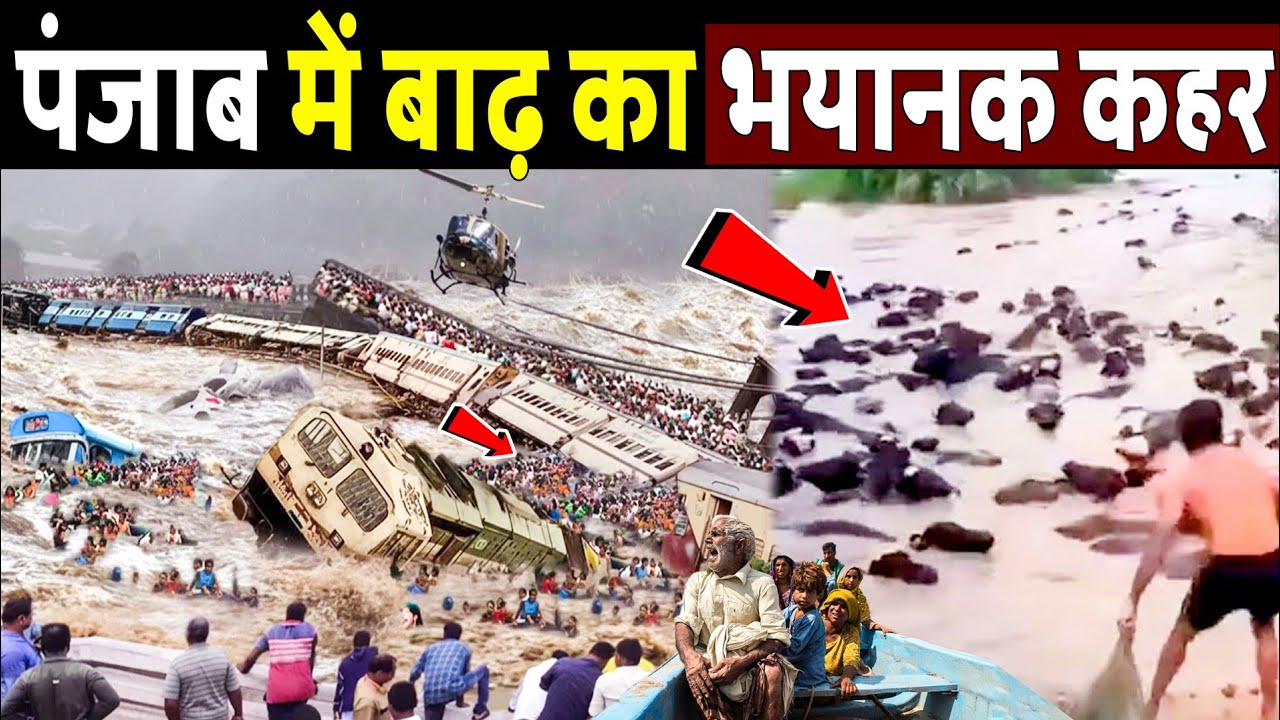 Two Notes Propose Une Version Du Torpedo Captor X - YouTube Auto PHP Script