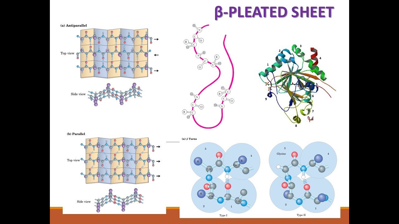 βPleated Sheet YouTube