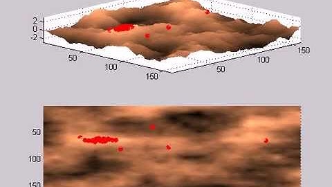 Particle Swarm Optimization