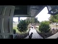 Dog Unlocks Front Door and Chases Delivery Driver